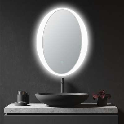 Oval  Acrylic Customized Makeup LED Mirror